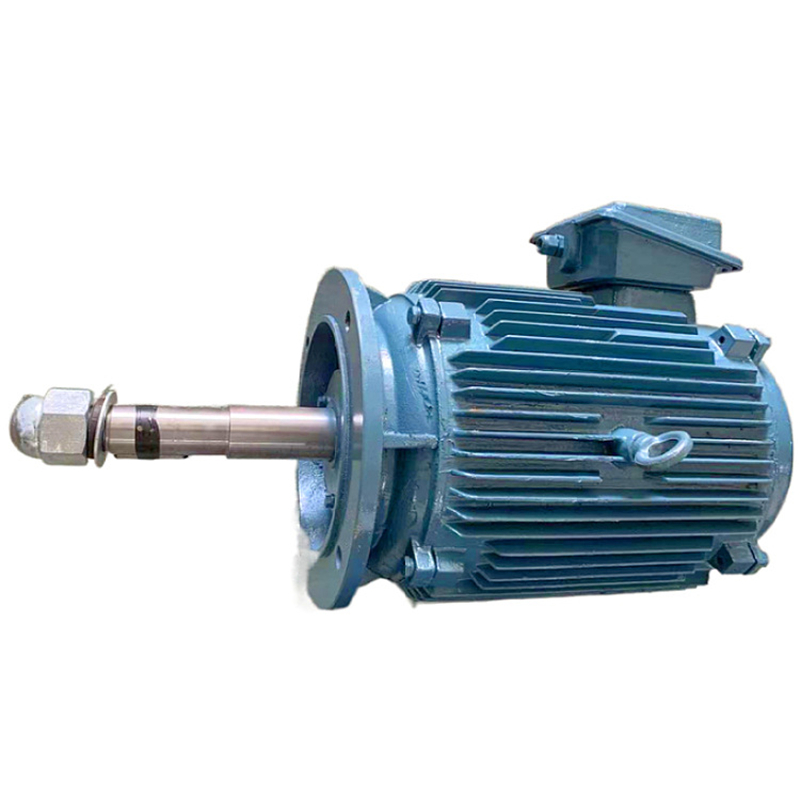 YCCL motor.jpg